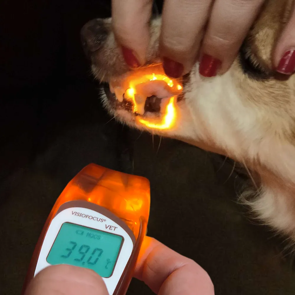Tecnimed VisioFocus VET produkt