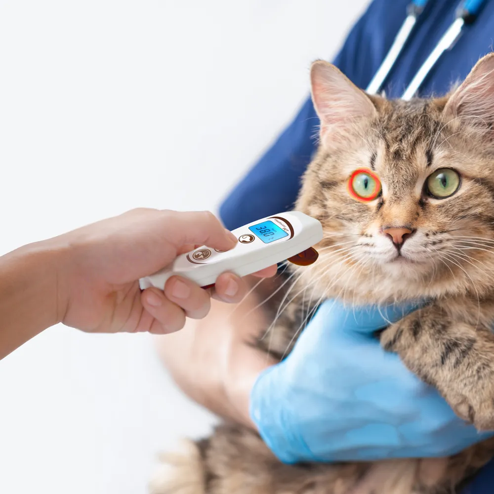 Tecnimed VisioFocus PET kontaktfri djurtermometer